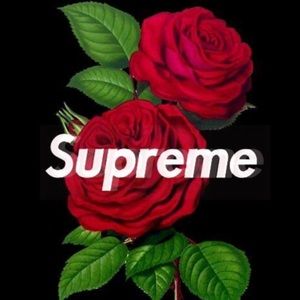 Meet your Posher, Ethan